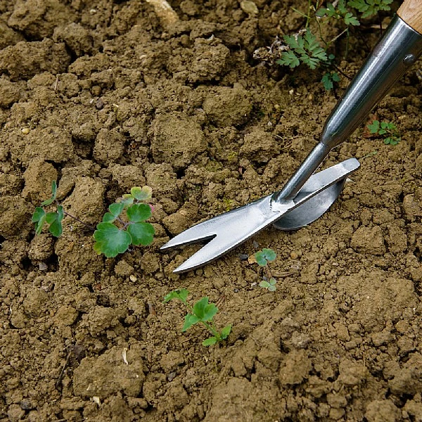 Kent & Stowe Stainless Steel Long Handled Daisy Weeder 4 Kent & Stowe Stainless Steel Long Handled Daisy Weeder - Image 2