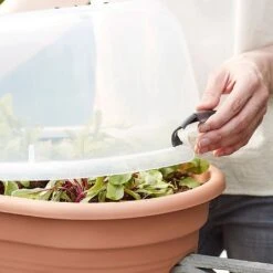 Elho Green Basics Flower Bridge Grow House 55cm 11 Elho Green Basics Flower Bridge Grow House 55cm -PlantEra Shop 1024663 4