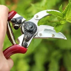 Kent & Stowe Rose Cut & Hold Secateurs 6 Kent & Stowe Rose Cut & Hold Secateurs -PlantEra Shop 1031091 1