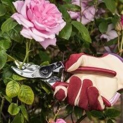 Kent & Stowe Rose Cut & Hold Secateurs 7 Kent & Stowe Rose Cut & Hold Secateurs -PlantEra Shop 1031091 2