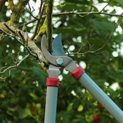 Kent & Stowe General Purpose Loppers -PlantEra Shop 1031094 3