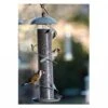 Peckish Secret Garden Spiral Finch Feeder -PlantEra Shop 1052045