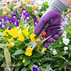 Wilkinson Sword Precision Pruner Twin Pack 7 Wilkinson Sword Precision Pruner Twin Pack -PlantEra Shop 1070131 1