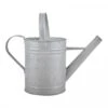 Fallen Fruits Old Zinc Watering Can 1.6L -PlantEra Shop 1077089
