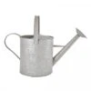 Fallen Fruits Old Zinc Watering Can 8.7L -PlantEra Shop 1077092