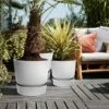 Elho Greenville Round Pot 40cm Living Concrete 2 Elho Greenville Round Pot 40cm Living Concrete -PlantEra Shop 1112062
