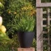 Stewart Garden 40cm Basalt Low Round Planter - Black 1 Stewart Garden 40cm Basalt Low Round Planter - Black -PlantEra Shop 1115429