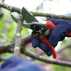 Wilkinson Sword Folding Pruner Saw & Pruner Set -PlantEra Shop 1140375 2