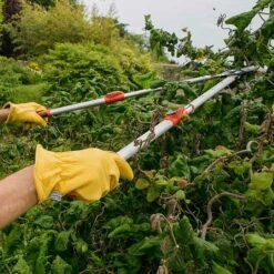 Wilkinson Sword Telescopic Anvil Loppers 5 Wilkinson Sword Telescopic Anvil Loppers -PlantEra Shop 1140386 1