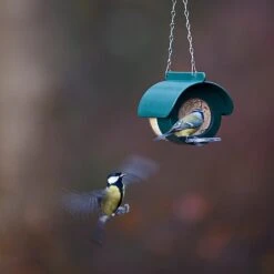 Jacobi Jayne Flutter Butter DeLuxe Feeder (For Pods Or Jars) 9 Jacobi Jayne Flutter Butter DeLuxe Feeder (For Pods Or Jars) -PlantEra Shop 1153038 3