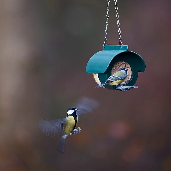 Jacobi Jayne Flutter Butter DeLuxe Feeder (For Pods Or Jars) 6 Jacobi Jayne Flutter Butter DeLuxe Feeder (For Pods Or Jars) - Image 4