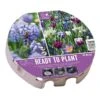 Bio Diversity Ready To Plant Tray 38cm (45 Bulbs) -PlantEra Shop 1160815
