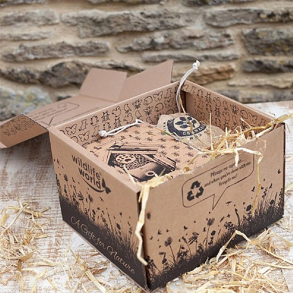 Wildlife World For The Love Of Bees Gift Pack 3 Wildlife World For The Love Of Bees Gift Pack - Image 2