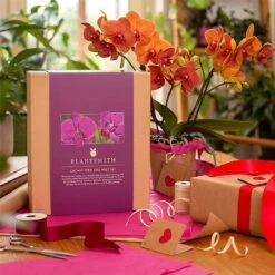 Plantsmith Orchid Care Gift Box Feed & Mist -PlantEra Shop 1171544 4