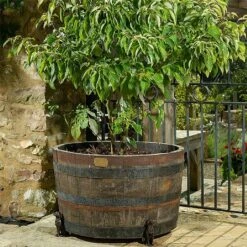 Jardinopia Plant Pot Feet Bronze Labrador - Set Of 3 7 Jardinopia Plant Pot Feet Bronze Labrador - Set Of 3 -PlantEra Shop 1177293 3