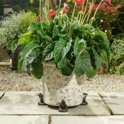 Jardinopia Plant Pot Feet Bronze Frog - Set Of 3 -PlantEra Shop 1177294 4