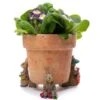 Jardinopia Beatrix Potter Benjamin Bunny Plant Pot Feet - Set Of 3 -PlantEra Shop 1177317