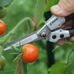 Darlac Compact Snips 7 Darlac Compact Snips -PlantEra Shop 1202076 3