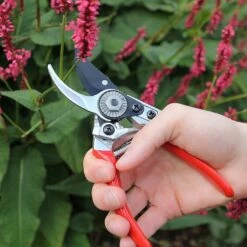 Darlac Small Bypass Pruner -PlantEra Shop 1202088 3