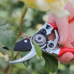 Darlac Small Bypass Pruner -PlantEra Shop 1202088 4