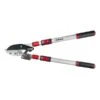 Darlac Telescopic Ratchet Lopper 2 Darlac Telescopic Ratchet Lopper -PlantEra Shop 1202099