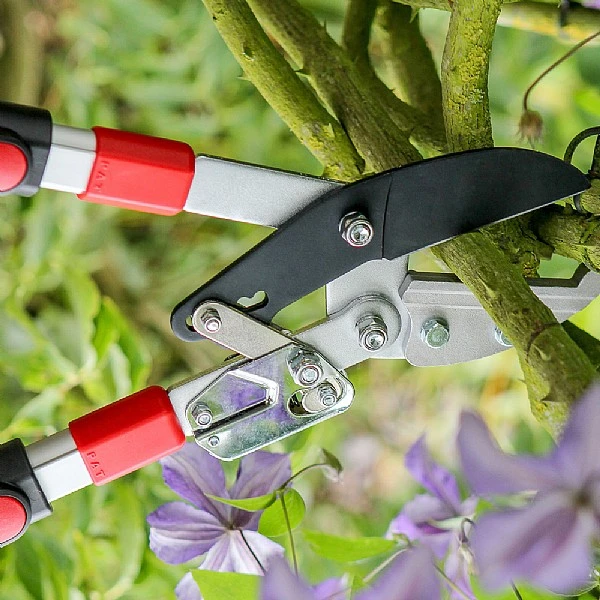 Darlac Telescopic Ratchet Lopper 4 Darlac Telescopic Ratchet Lopper - Image 2