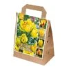 Tulipa Yellow Shades (Bag Of 30) 1 Tulipa Yellow Shades (Bag Of 30) -PlantEra Shop 1212232