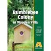Agralan Bumble Bee Colony In Wooden Villa 1 Agralan Bumble Bee Colony In Wooden Villa -PlantEra Shop 1222840