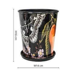 Kew Eclectic Orangery Planter With Saucer 14cm -PlantEra Shop 1227766 3