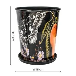 Kew Eclectic Orangery Planter With Saucer 16cm -PlantEra Shop 1227767 3