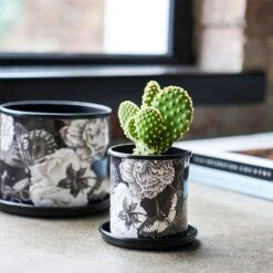 Kew Eclectic Orangery Noir Planter With Saucer 13cm -PlantEra Shop 1227769 4