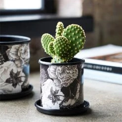 Kew Eclectic Orangery Noir Tall Planter With Saucer 13cm 8 Kew Eclectic Orangery Noir Tall Planter With Saucer 13cm -PlantEra Shop 1227770 3