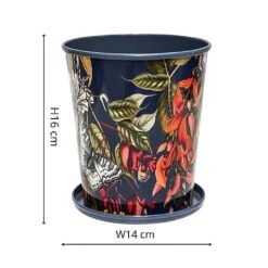 Kew Temperate House Planter With Saucer 14cm -PlantEra Shop 1227771 4