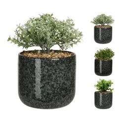 KOOPMAN Plant In Ceramic Pot 22cm (Assorted Designs)