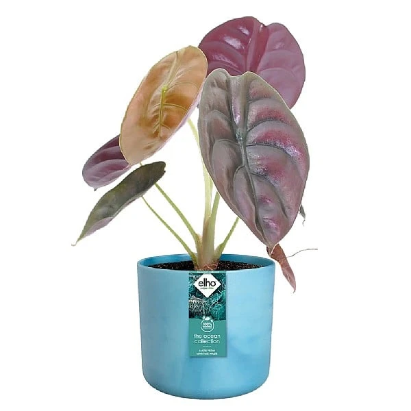 Elho The Ocean Collection Round Pot 22cm Atlantic Blue 4 Elho The Ocean Collection Round Pot 22cm Atlantic Blue - Image 2