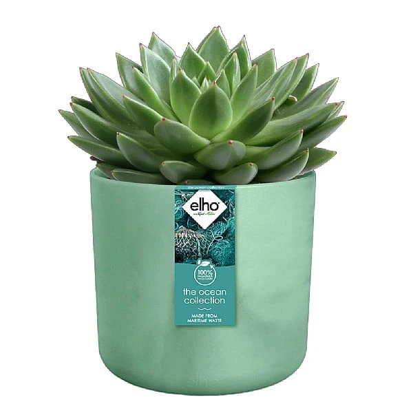 Elho The Ocean Collection Round Pot 22cm Pacific Green 4 Elho The Ocean Collection Round Pot 22cm Pacific Green - Image 2