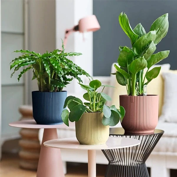 Elho Vibes Fold Round Planter 22cm Delicate Pink 3 Elho Vibes Fold Round Planter 22cm Delicate Pink