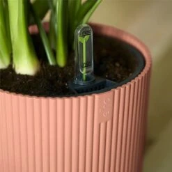 Elho Vibes Fold Round Planter 22cm Delicate Pink 10 Elho Vibes Fold Round Planter 22cm Delicate Pink -PlantEra Shop 1230824 3