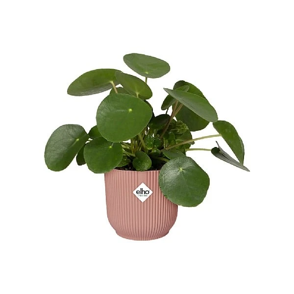 Elho Vibes Fold Round Planter 22cm Delicate Pink 6 Elho Vibes Fold Round Planter 22cm Delicate Pink - Image 4