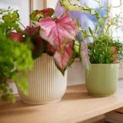 Elho Vibes Fold Round Planter 22cm Silky White