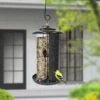 Panacea Modern Farmhouse Triple Mixed Seed Combination Feeder -PlantEra Shop 1233197