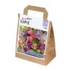 Bouquet Tulipa & Allium (30 Bulbs) 1 Bouquet Tulipa & Allium (30 Bulbs) -PlantEra Shop 1248852