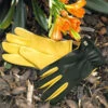 Gold Leaf Gents Dry Touch Gloves -PlantEra Shop 240104