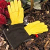 Gold Leaf Gents Tough Touch Gloves -PlantEra Shop 240108