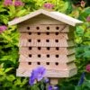 Solitary Bee Hive & Insect Habitat -PlantEra Shop 340416