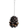 Pinecone Bird Feeder -PlantEra Shop 583523
