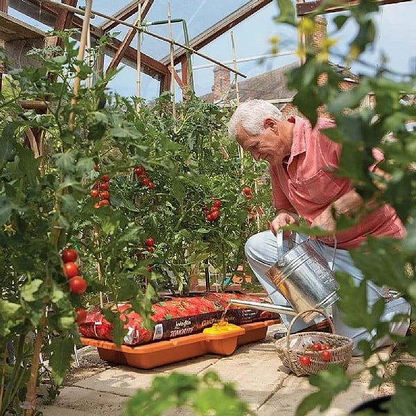 Hozelock Growbag Waterer 7 Hozelock Growbag Waterer - Image 5