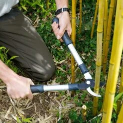 Burgon & Ball RHS Mini Bypass Lopper 8 Burgon & Ball RHS Mini Bypass Lopper -PlantEra Shop 884113 1