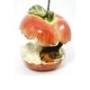 Vivid Arts Apple Core With Robin Bird Feeder -PlantEra Shop 931665