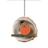 Vivid Arts Robin In A Coconut Bird Feeder -PlantEra Shop 931666